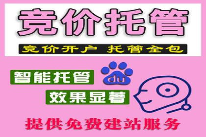 SEM托管优化案例：打造精准广告投放策略